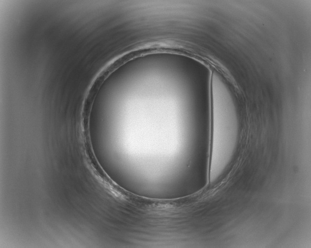 X0000076070784200609220952