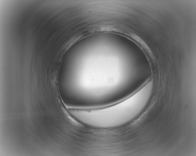 X0000076070801200609220952