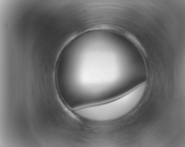 X0000076070805200609220952