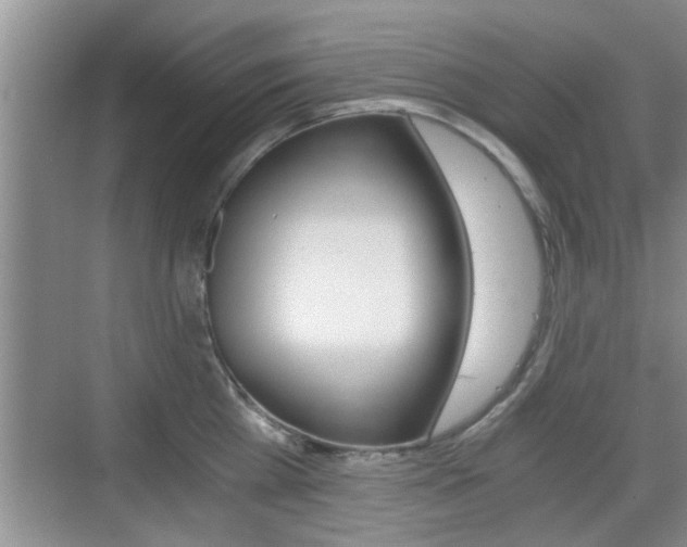 X0000076070809200609220952