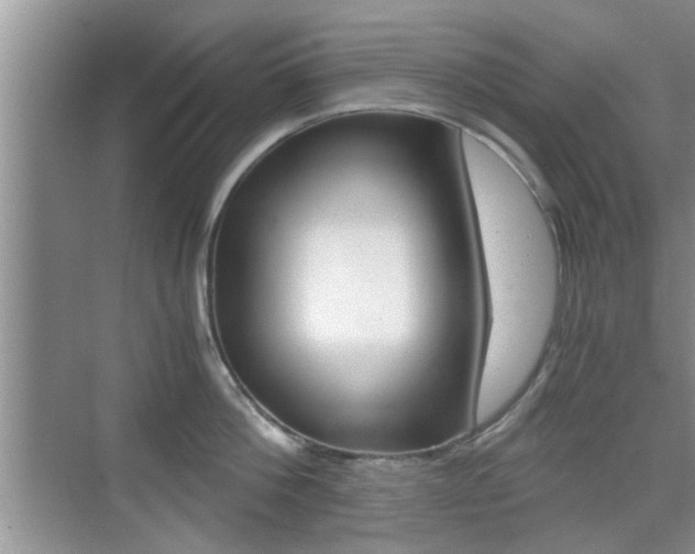 X0000076070812200609220952