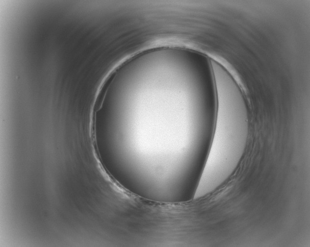 X0000076070815200609220952