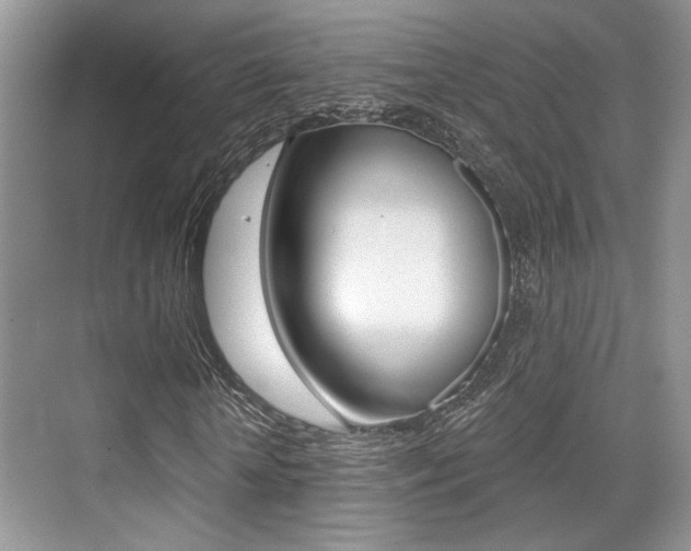 X0000076070818200609220951