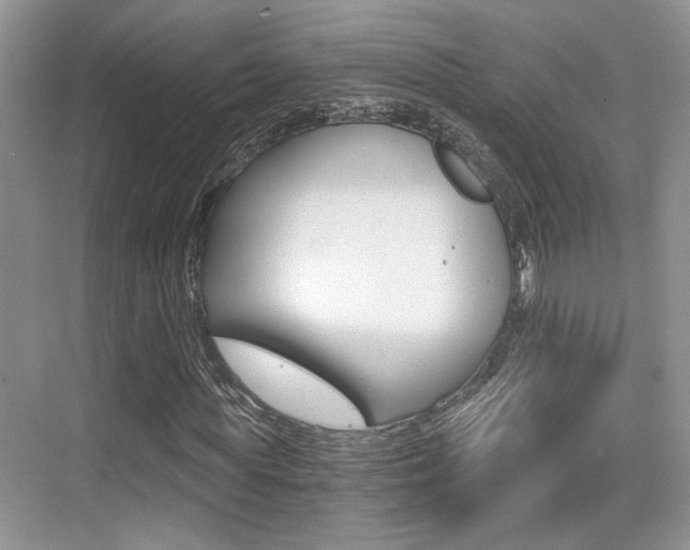 X0000076070819200609220951