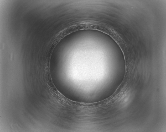 X0000076070821200609220951