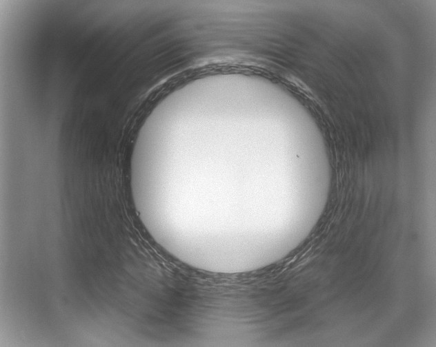 X0000076070822200609220951