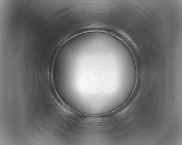 X0000076070825200609220951