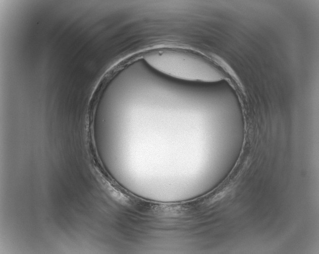 X0000076070831200609220951