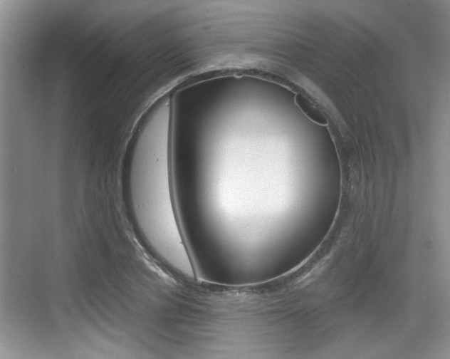 X0000076070834200609220951