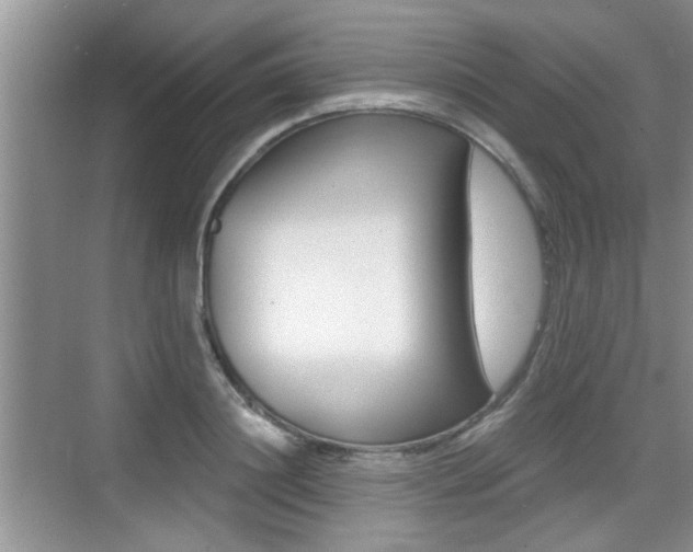 X0000076070844200609220951