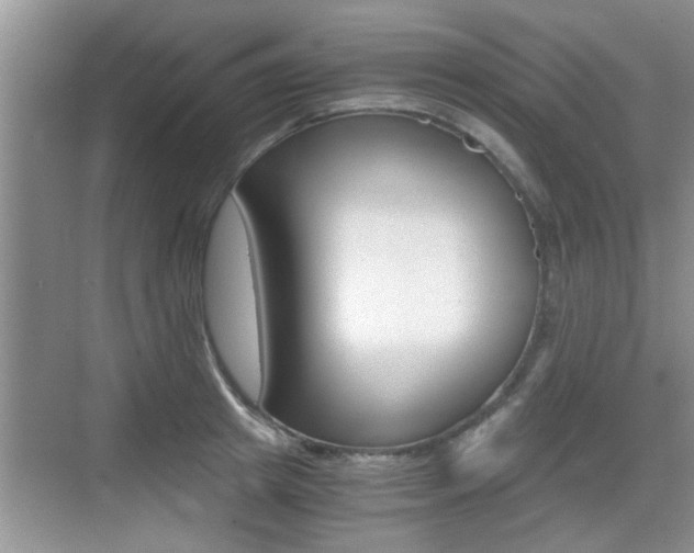 X0000076070849200609220951
