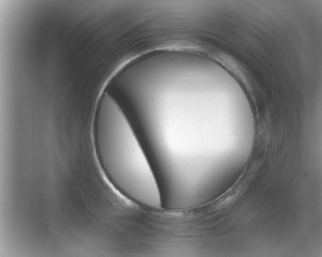 X0000076070855200609220951