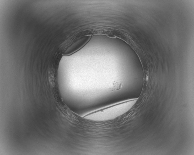 X0000076070867200609220951