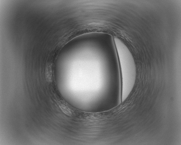 X0000076070868200609220951