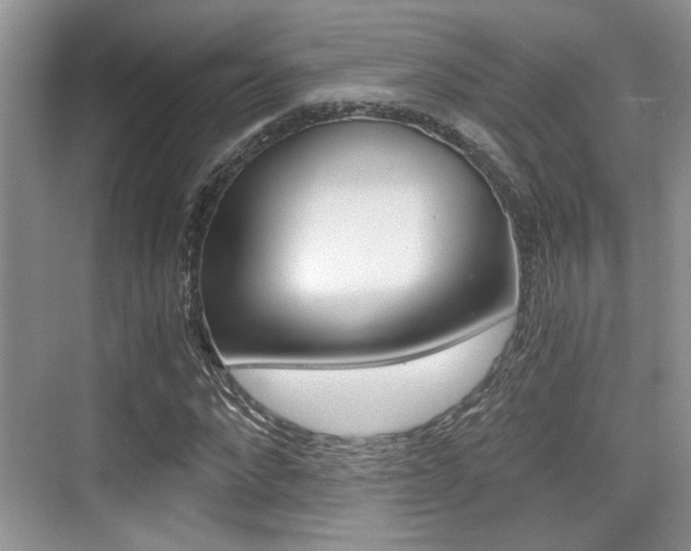 X0000076070872200609220951