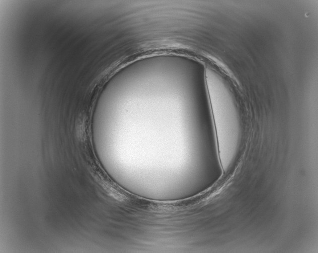 X0000076070873200609220951