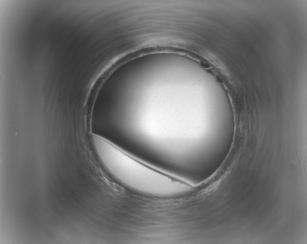 X0000076070877200609220950