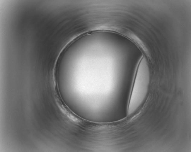 X0000076070892200609220950