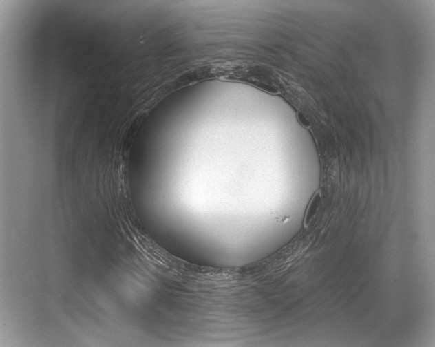 X0000076070914200609220949
