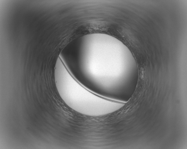 X0000076070915200609220949