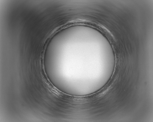 X0000076070921200609220949