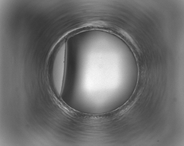 X0000076070923200609220949
