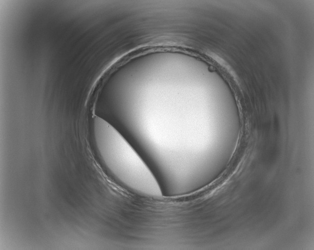 X0000076070925200609220949