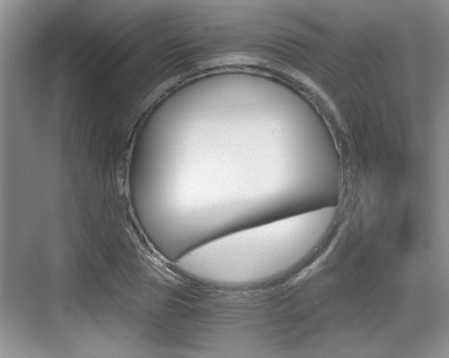 X0000076070929200609220949