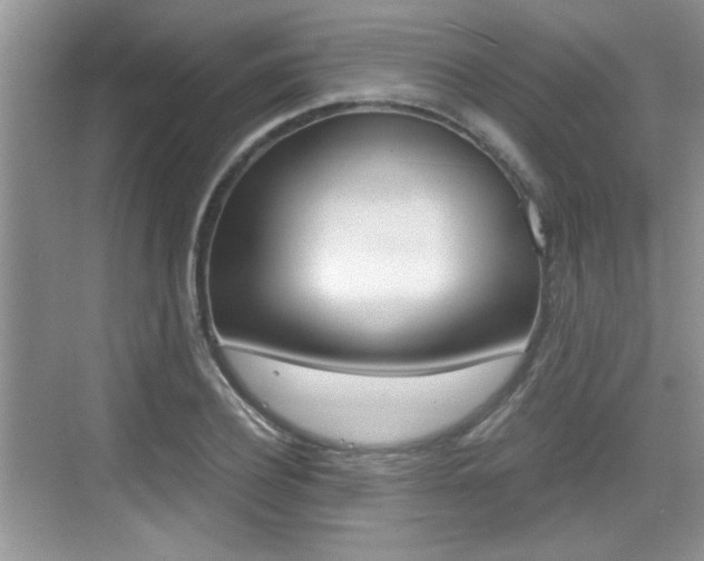 X0000076070932200609220949