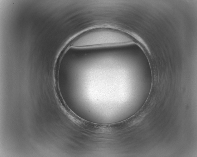 X0000076070935200609220949