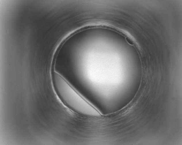 X0000076070943200609220950