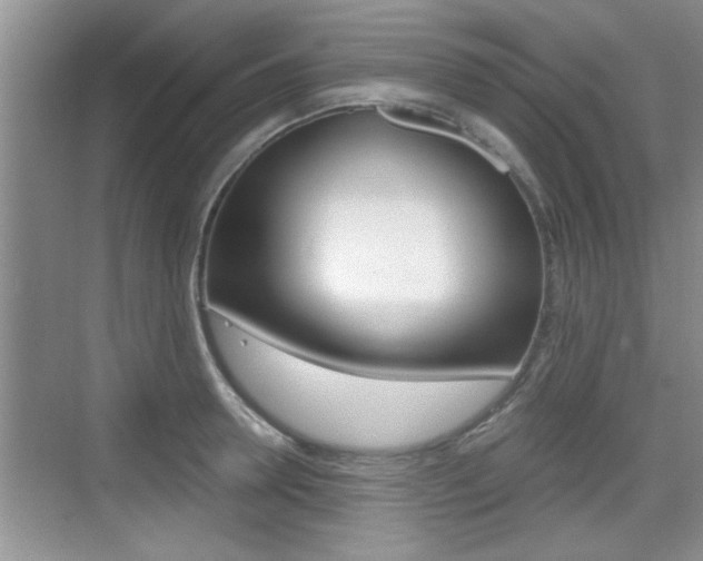 X0000076070946200609220950