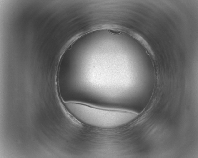 X0000076070954200609220950