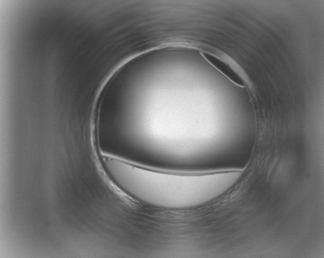X0000076070955200609220950