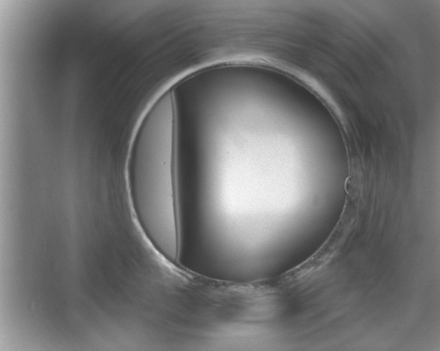 X0000076070959200609220950