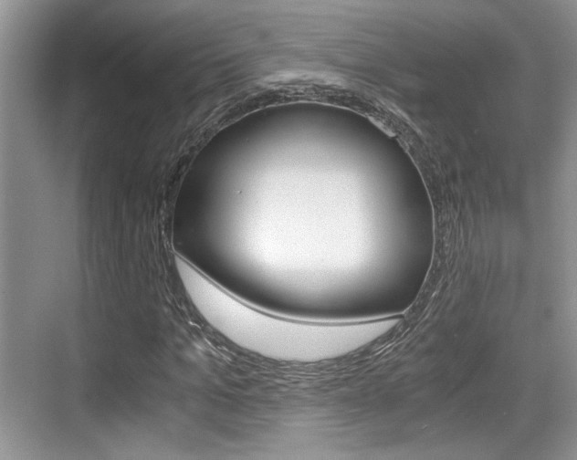 X0000076070965200609220949