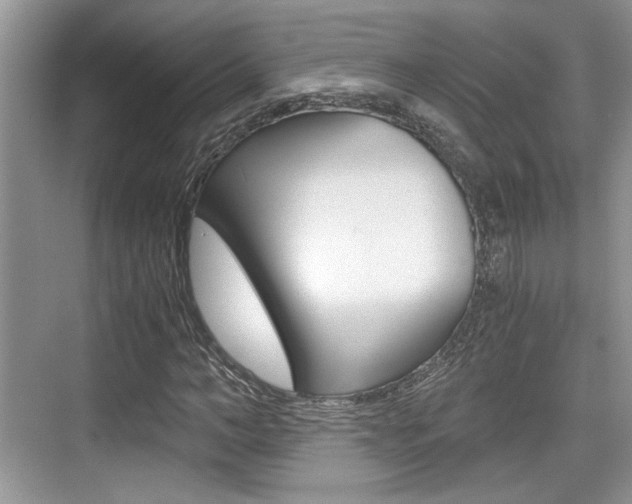 X0000076070966200609220949
