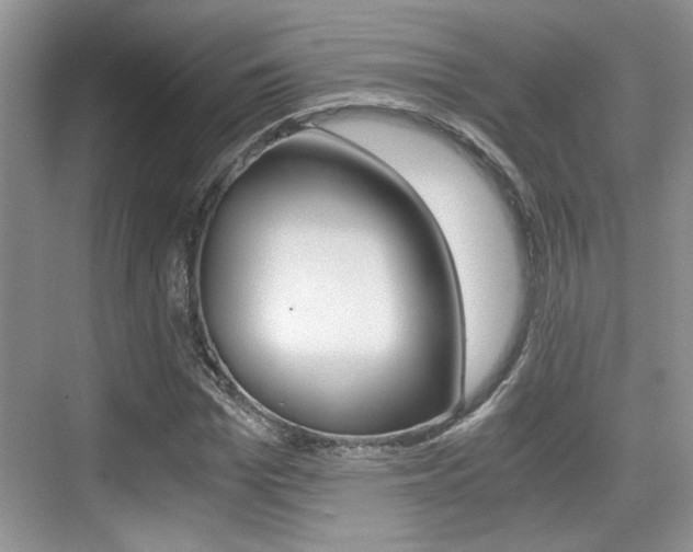 X0000076070969200609220949