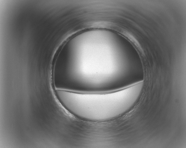 X0000076070992200609220949