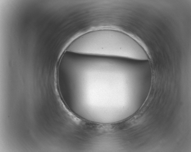 X0000076071006200609220948