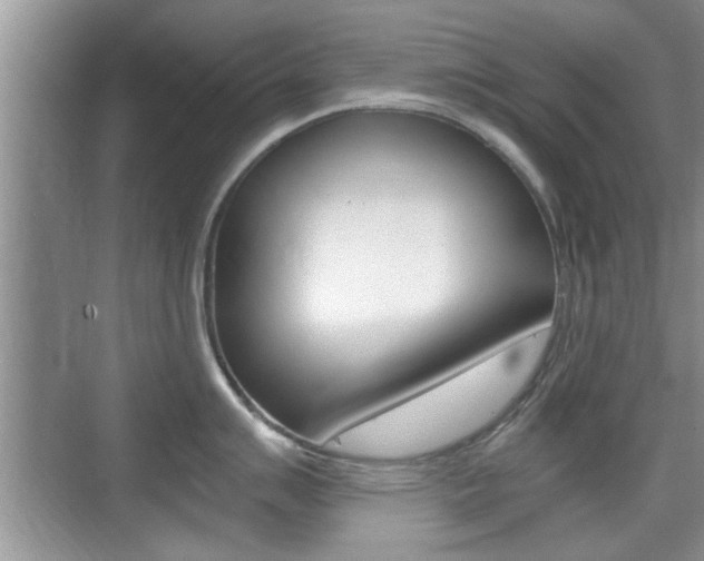 X0000076071007200609220948