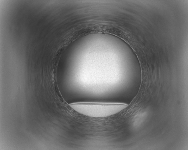 X0000076071013200609220948