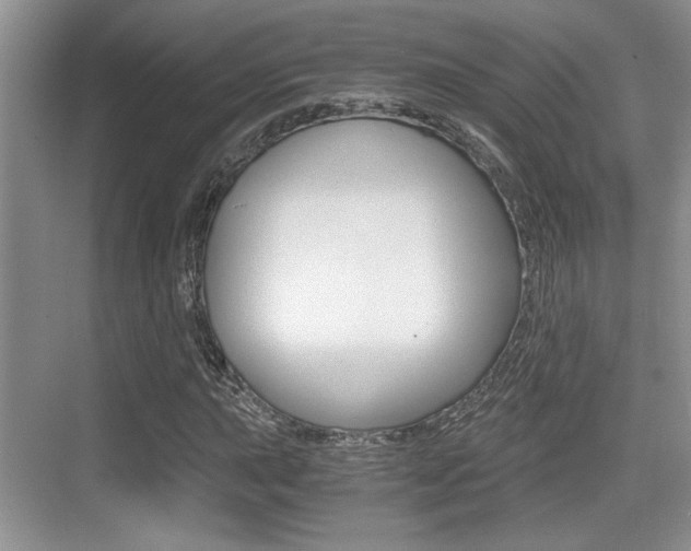 X0000076071015200609220948