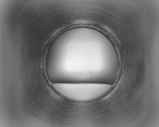 X0000076071017200609220948
