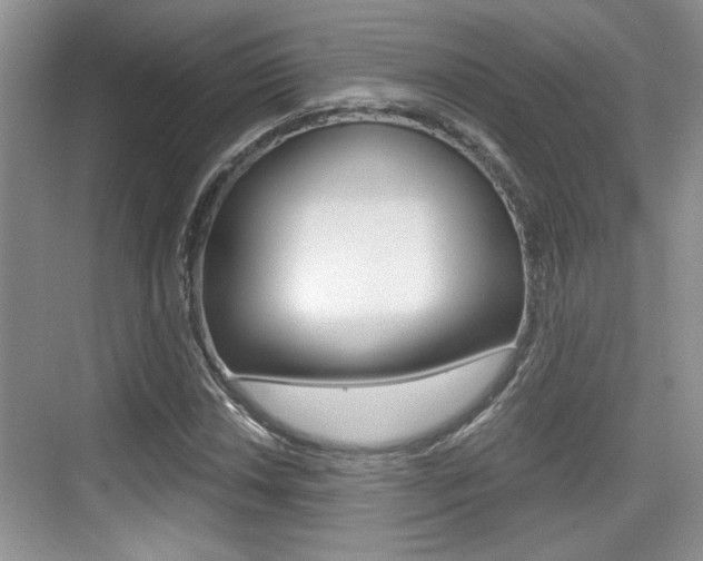 X0000076071018200609220948