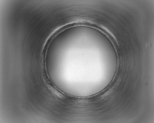 X0000076071021200609220948