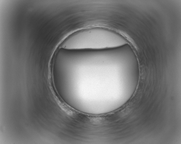 X0000076071031200609220948