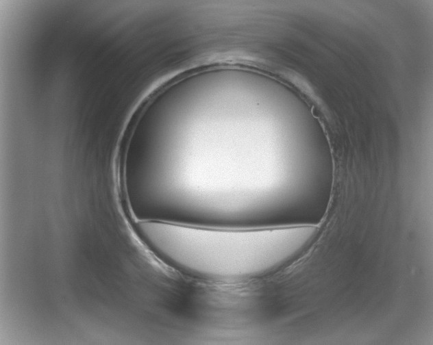 X0000076071032200609220948