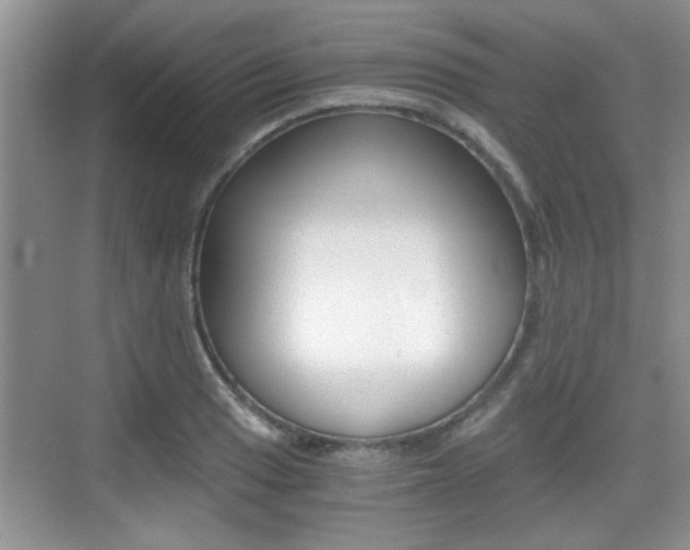 X0000076071033200609220948