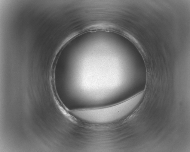 X0000076071042200609220948